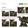 Typhus - Painting Guide - Image 2