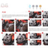 Kuma - Imagen 7